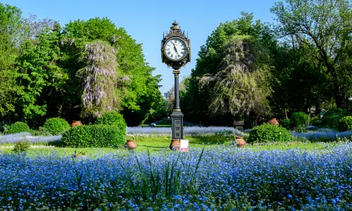 Cismigiu Gardens