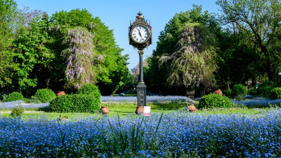 Cismigiu Gardens