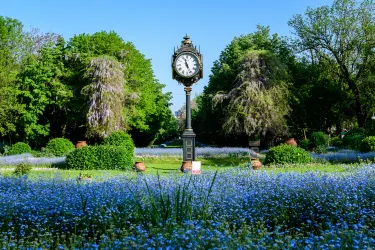 Cismigiu Gardens