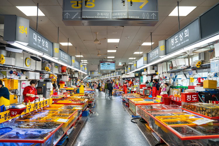 부산의 인기 액티비티