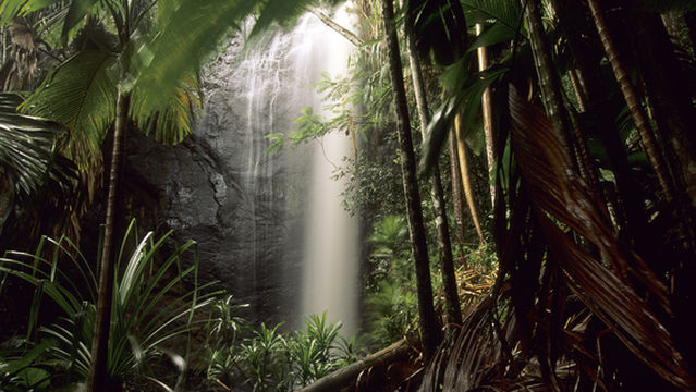 Praslin National Park Waterfall