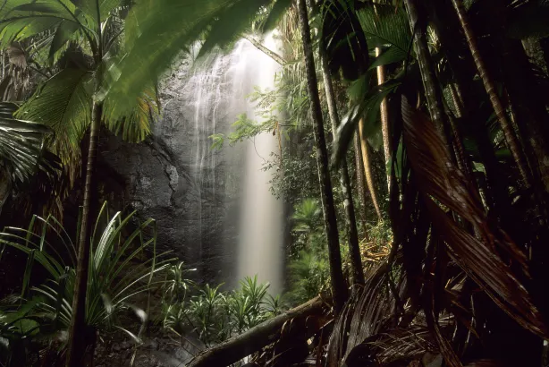 Praslin National Park Waterfall