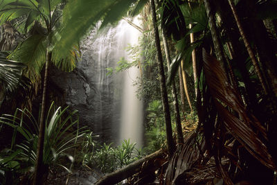 Praslin National Park Waterfall