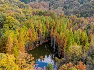 波爾登森林公園