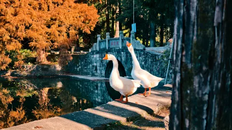 Lushan Xihai Scenic Area attraction in Jiujiang