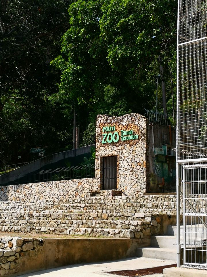 Mini Zoo Taman Teruntum Travel Guidebook Must Visit Attractions In Kuantan Mini Zoo Taman Teruntum Nearby Recommendation Trip Com