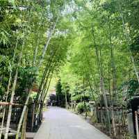 【熱海】来宮神社