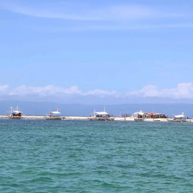 Sandbar at Virgin Island Bohol