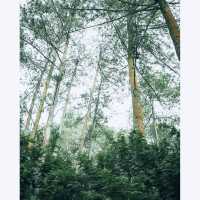 Mount Guntur