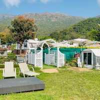 兩手Fing Fing 去camping