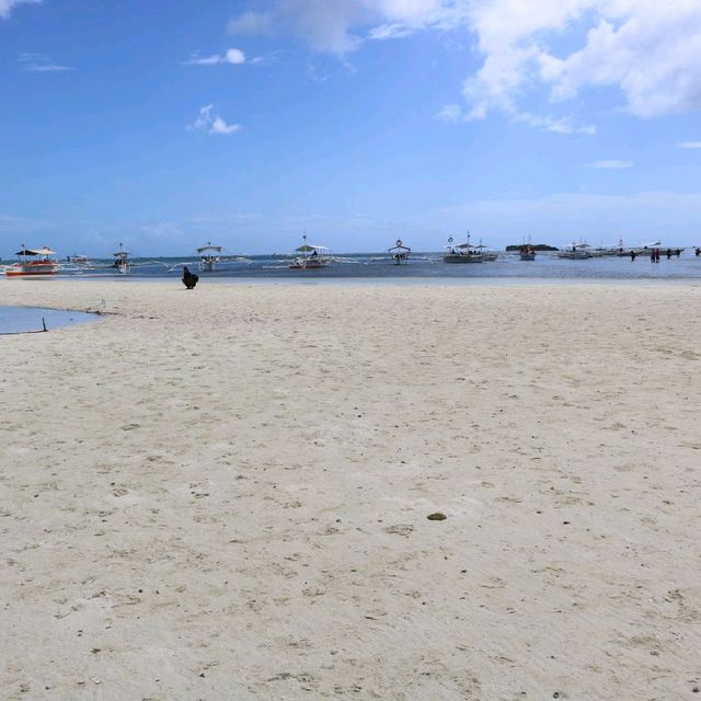 A lengthy sandbar