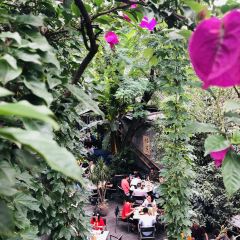 TING XIANG User Photo