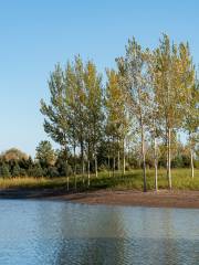 West Dongting Lake Wetland Reserve