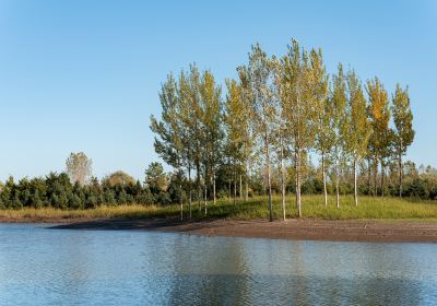 West Dongting Lake Wetland Reserve