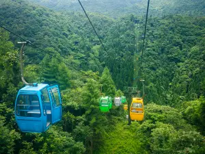 坪壩営原生態休閒旅遊区