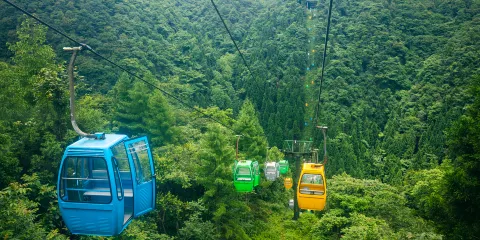 恩施坪壩營國家森林公園景區