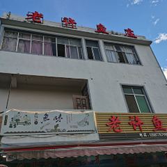 老许鱼庄 User Photo