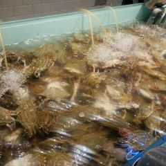 Great Plaza Buffet User Photo