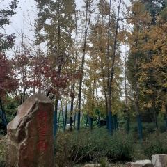 華東療養院餐廳張用戶圖片