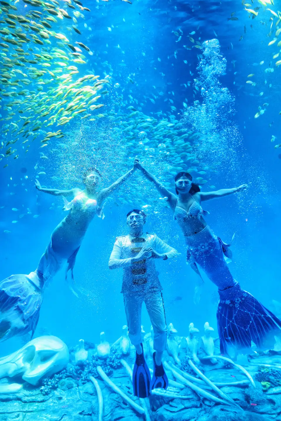 4_Hefei Andover Oceanarium