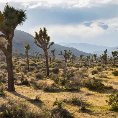 Flights Burbank to Las Vegas