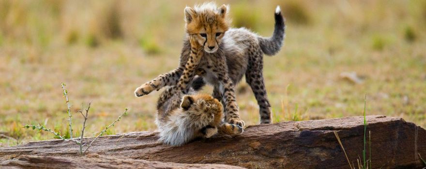 Serengeti National Park