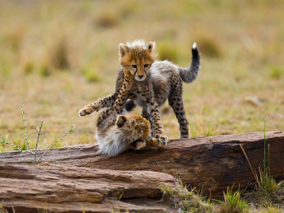 Serengeti National Park