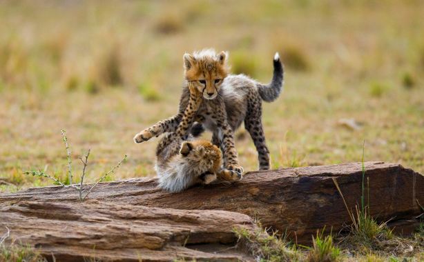 Serengeti National Park