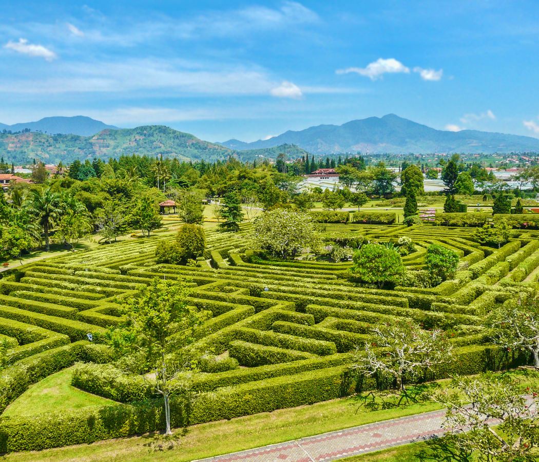 Riding Tea Garden on Damu Mountain
