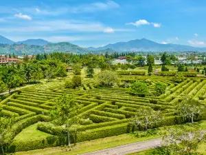 大木山茶園景區