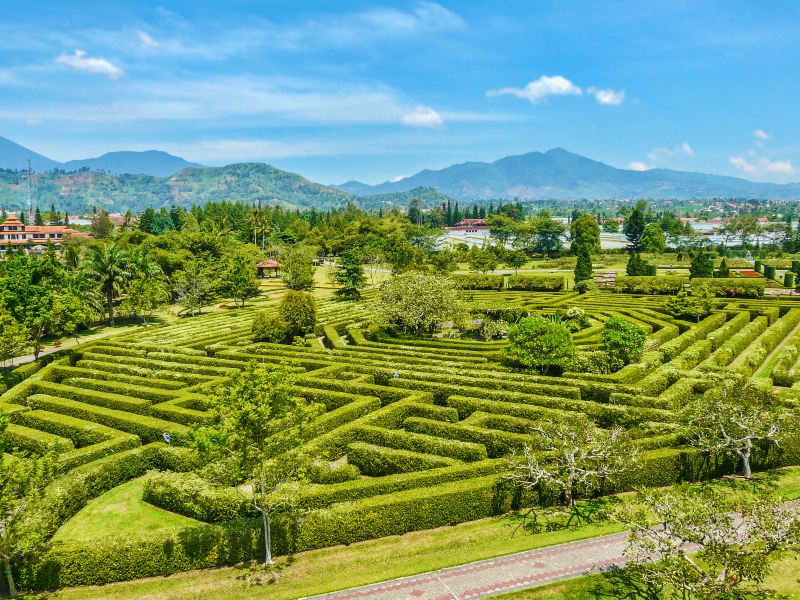 Damu Mountain Tea Garden scenic spot