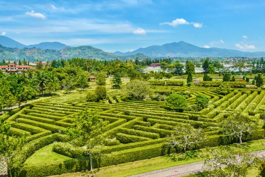 Damu Mountain Tea Garden scenic spot