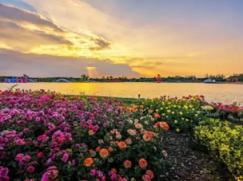 난양 세계 장미 대관원