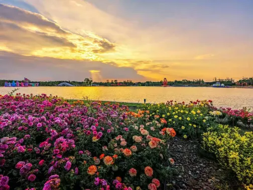 南陽世界月季大觀園