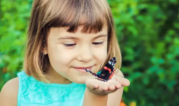 Balitopia Butterfly Park