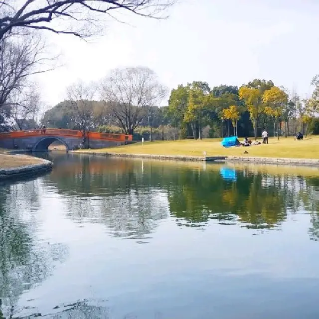 Oriental Land, Shanghai