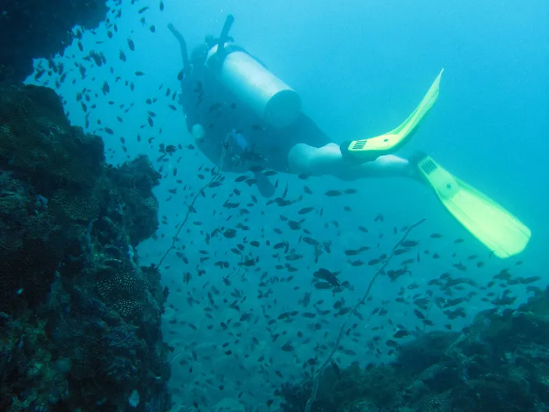 Koh Tao