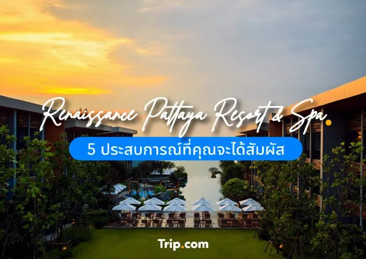 รีวิว Renaissance Pattaya Resort & Spa สัมผัสความหรูติดริมหาด