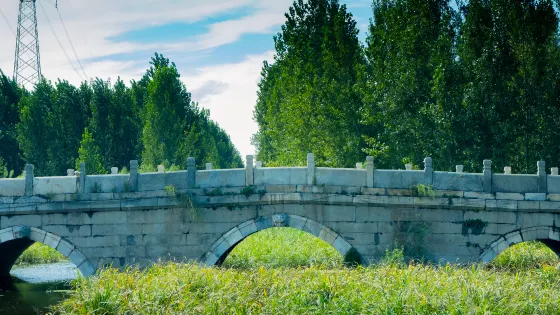下胡良橋