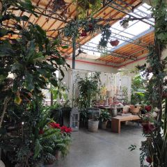 南岸时光 User Photo