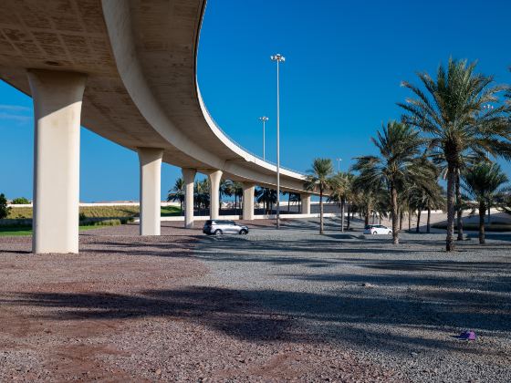 Saadiyat Island