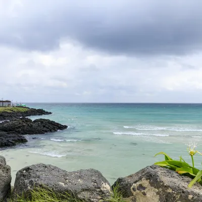 Vé máy bay Jeju đi Sân bay quốc tế Đà Nẵng