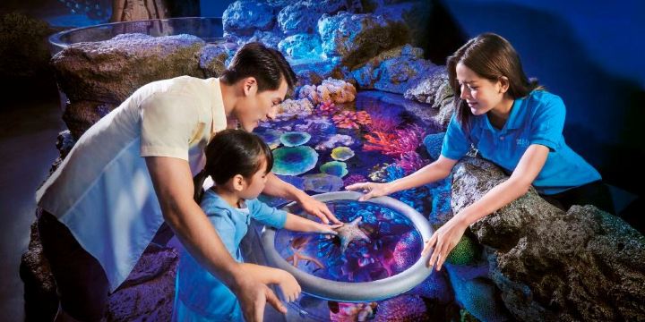 Sea Life Bangkok океанариум
