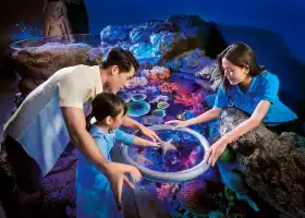 SEA LIFE Bangkok Ocean World