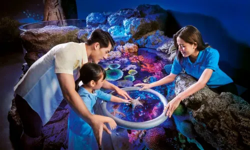 SEA LIFE Bangkok Ocean World