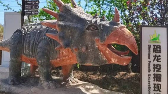 Liaoning Gushengwu Huashi Museum