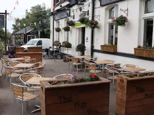 The Hop Vine