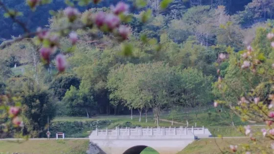 綏芬河國家森林公園