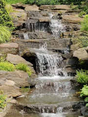 Bronx River Forest