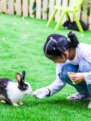 東湖之森·洛嘉森樂園